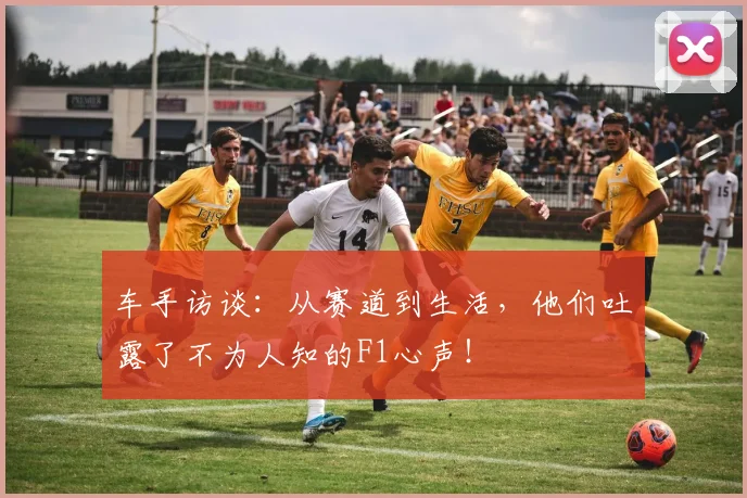 车手访谈:从赛道到生活,他们吐露了不为人知的F1心声!