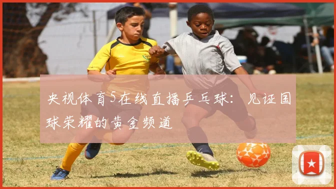 央视体育5在线直播乒乓球：见证国球荣耀的黄金频道