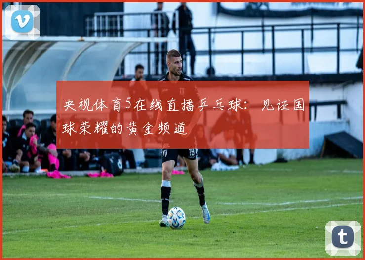 央视体育5在线直播乒乓球：见证国球荣耀的黄金频道