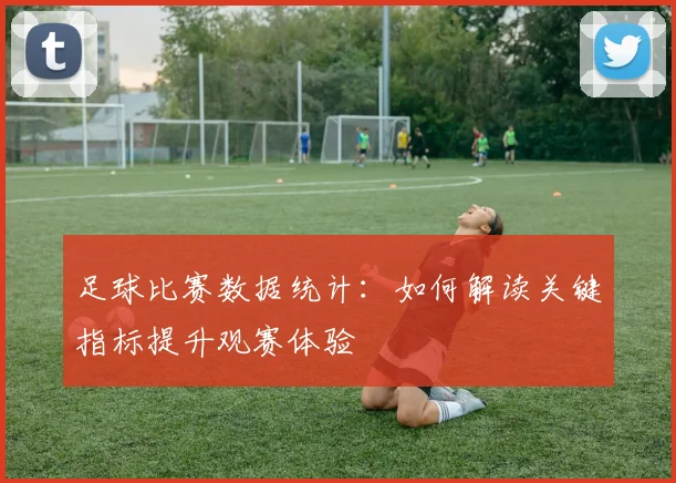 足球比赛数据统计：如何解读关键指标提升观赛体验